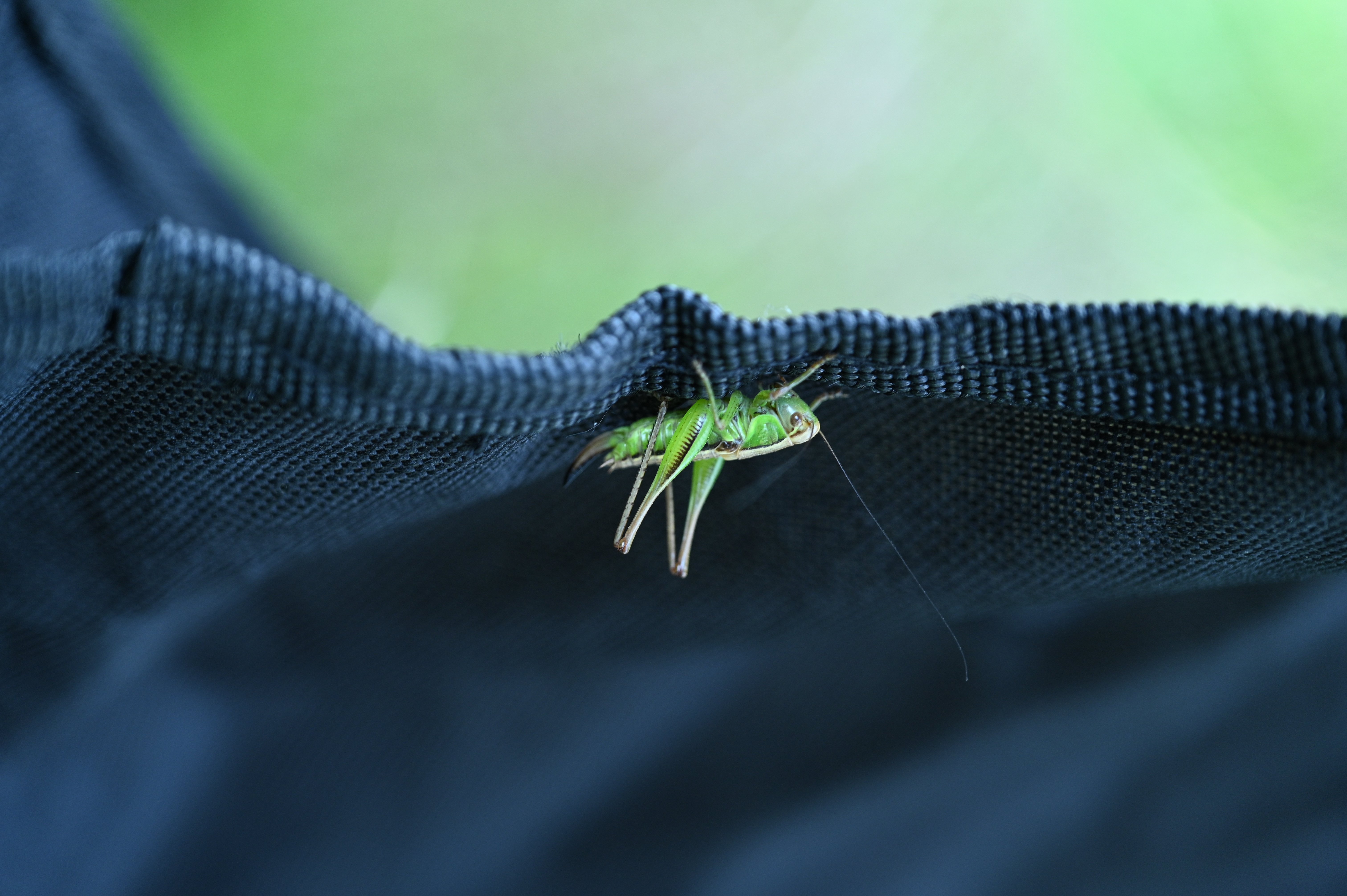 2025/07/09-14 - trip/DSC_0037.JPG